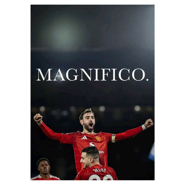 Bruno Magnifico