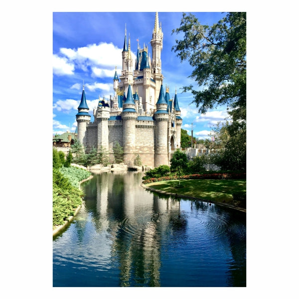 Disney Castle