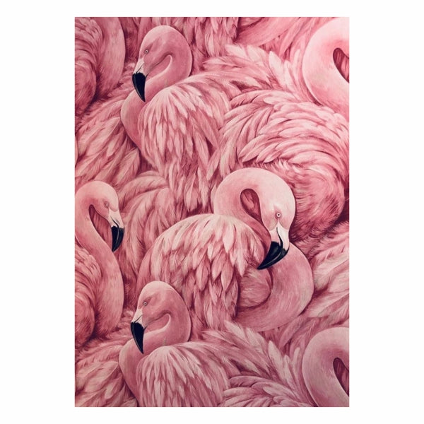 Flamingos