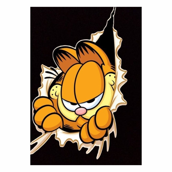 Garfielld The Cartoon