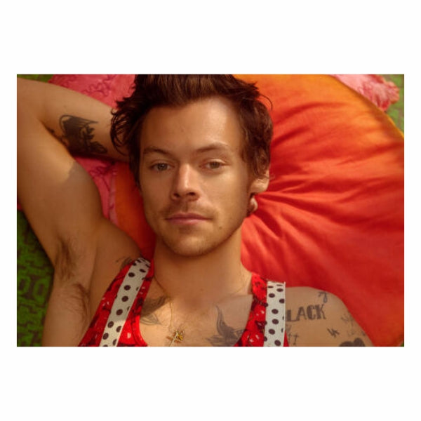 Harry Styles