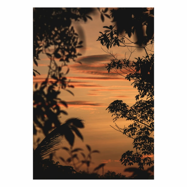 Sky On Fire