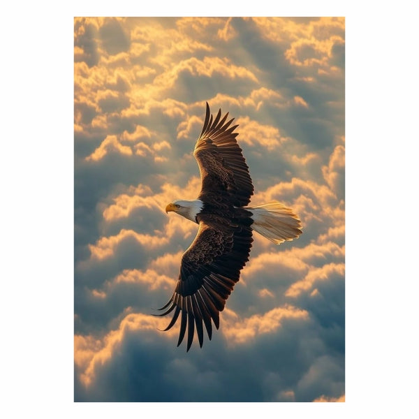 Soaring High In The Sky