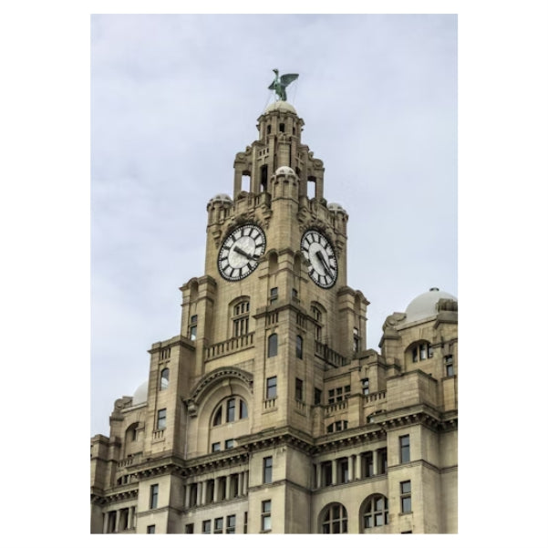 The Liver Bird