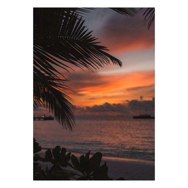 Tropical Sunset