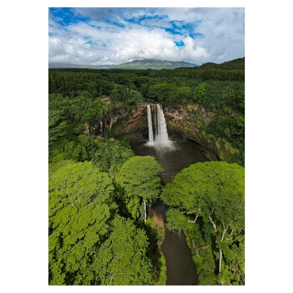 Waterfall in a Lush Forest