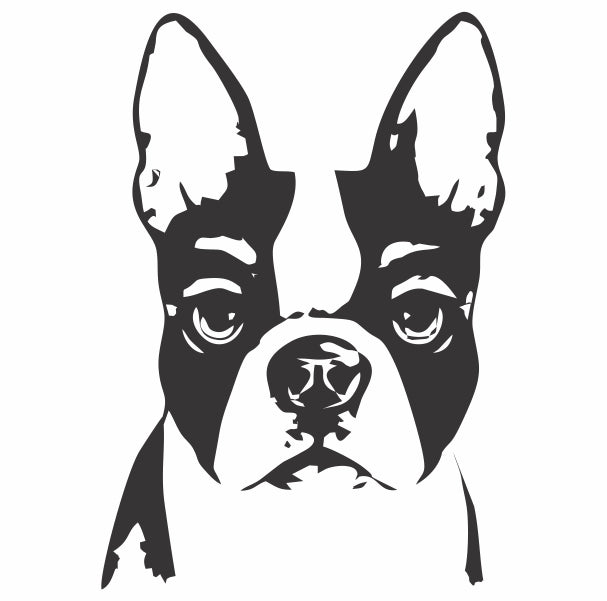Boston Terrier Decal