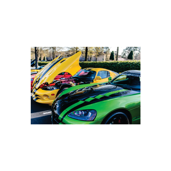 Viper Day - A1 Poster