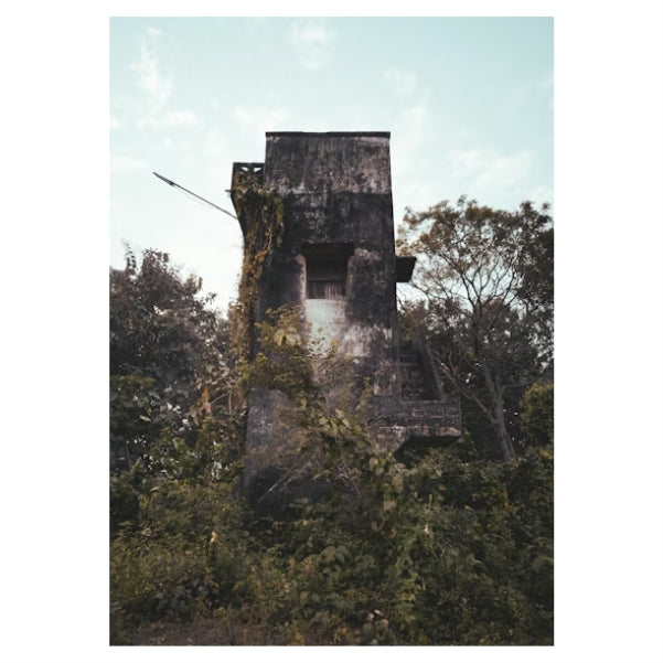Abandoned Forest Tower