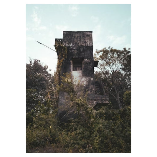Abandoned Forest Tower
