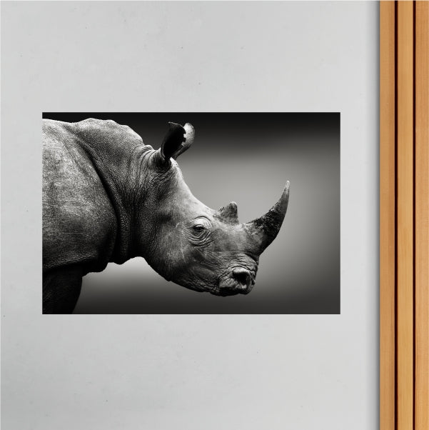 African Rhino Poster
