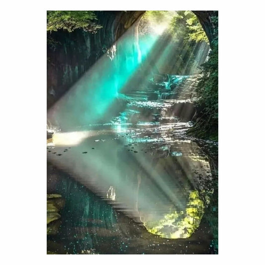 Amazon Rainforest