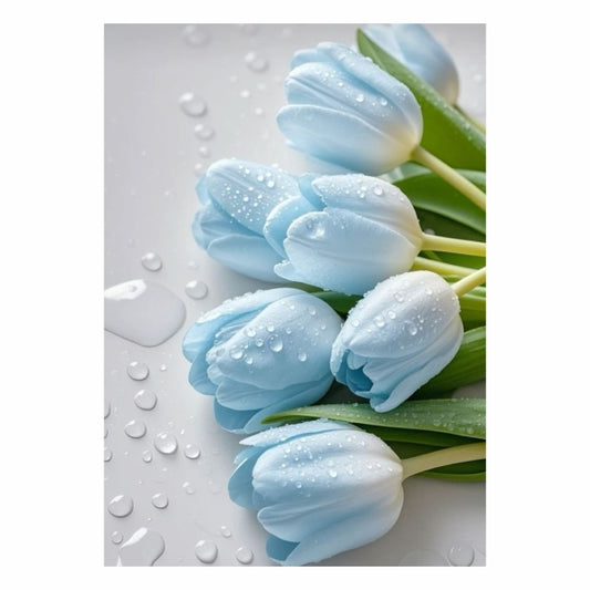 Baby Blue Tulips