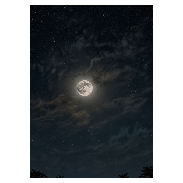 Cloudy Moonlight