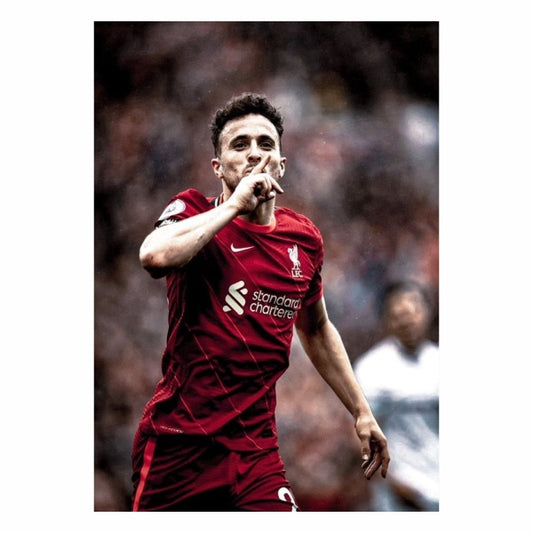 Diogo Footballer