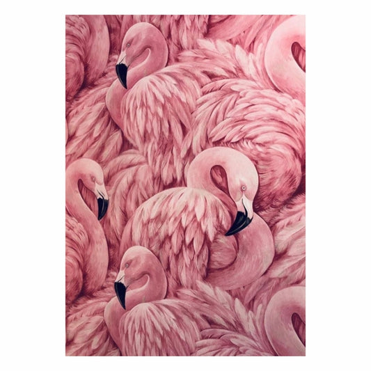 Flamingos