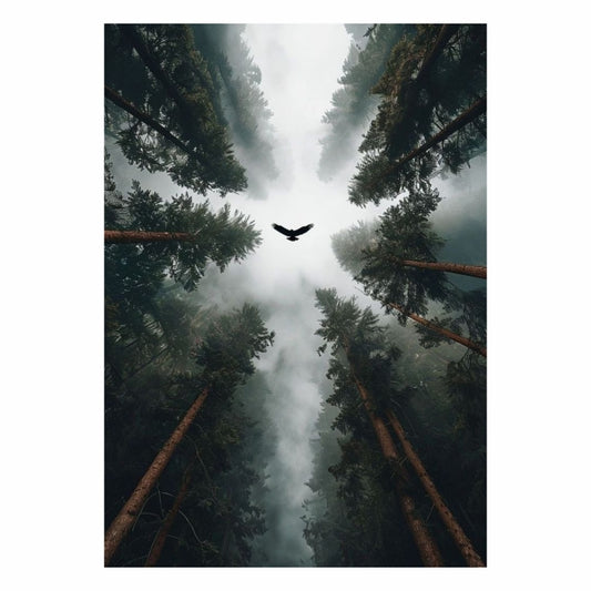 In The Forest