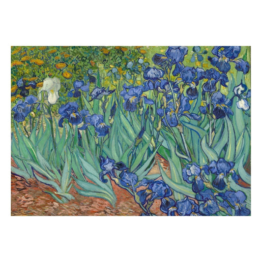 Irises Vincent van Gogh Poster