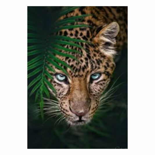 Jungle King