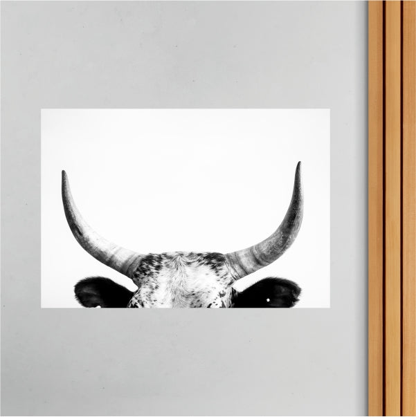 Nguni Cow Horns Modern Poster