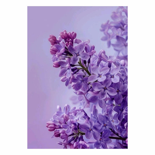 Purple Petals