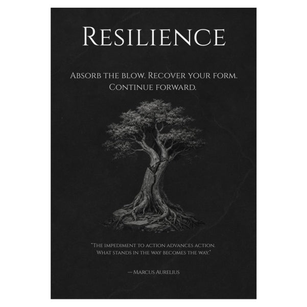 Resilience Marcus Aurelius