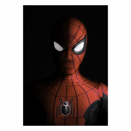 Spiderman Marvel Superhero