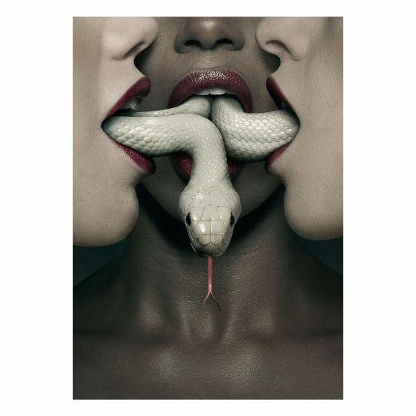 American Horror Story Snake Poster