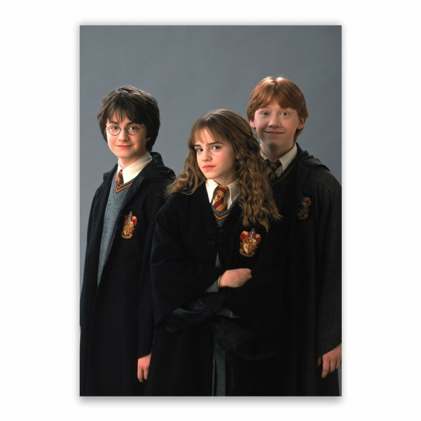 Harry Potter Golden Trio Poster