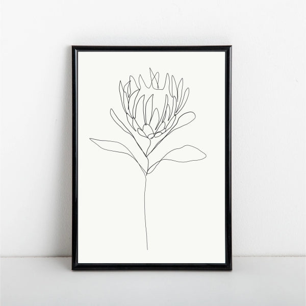 Protea Line Drawing Poster